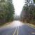 Mud slide on Deadwood Creek road MP1